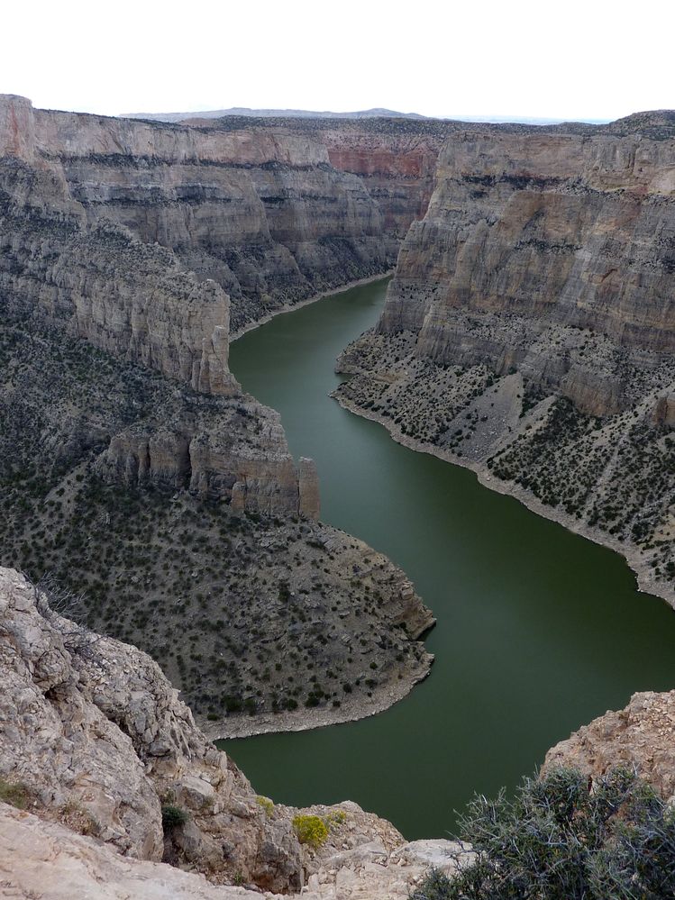 Big horn N.P_12.JPG